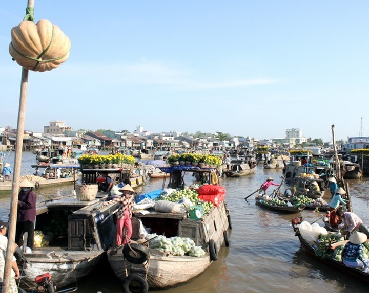 Serious pollution affects Cai Rang Floating Market - 1
