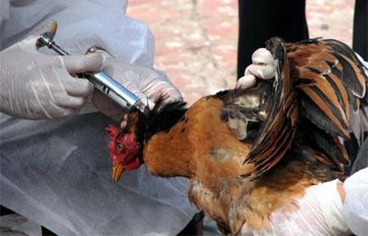 USAID protective equipment donation mitigates pandemic risk - 1