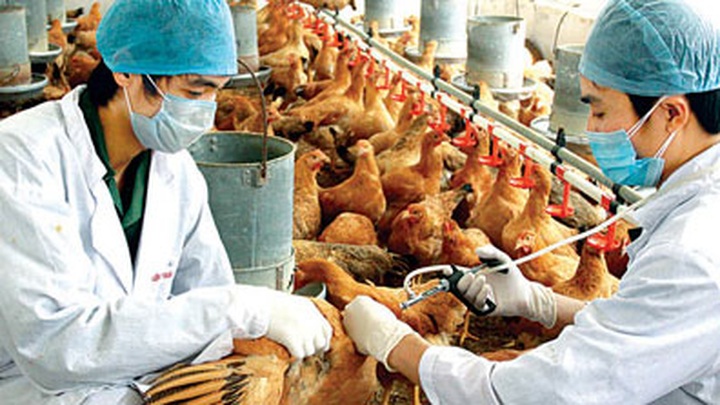 PM urges action against avian flu - 1