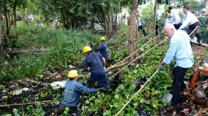 HCM City: Activities held in response to Clean Up the World campaign - 1