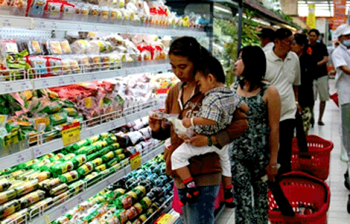 HCM City aims to double per capita income by 2020 - 1