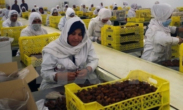 Algeria to export dates to Vietnam - 1