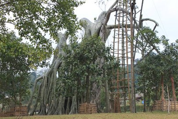 Vietnam’s revolutionary past in Tan Trao - 1