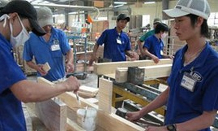 EU recognises Vietnam’s progress on timber legality - 1