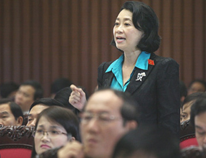 Dang Thi Hoang Yen’s status as NA Deputy under question - 1 Dang Thi Hoang Yen’s status as NA Deputy under question - 1