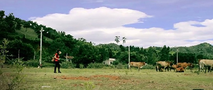 Young people make video featuring Vietnamese natural beauty - 1 Young people make video featuring Vietnamese natural beauty - 1