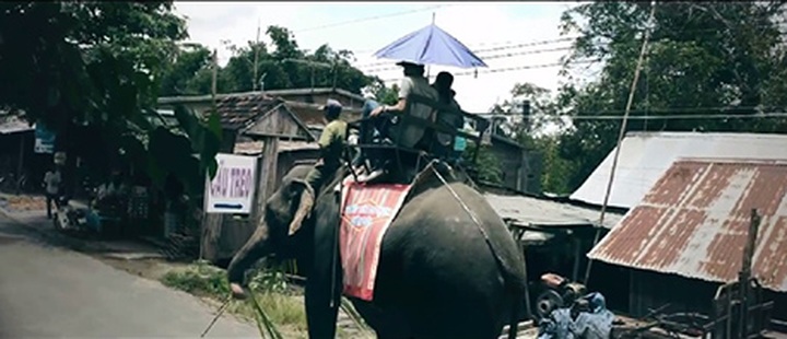 Young people make video featuring Vietnamese natural beauty - 3 Young people make video featuring Vietnamese natural beauty - 3