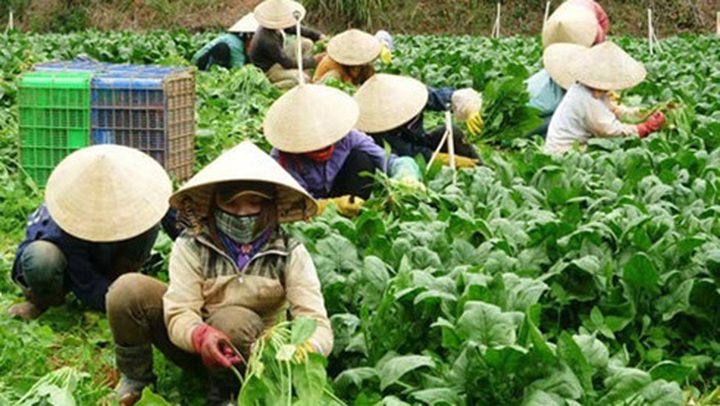 Economy slows, forcing re-think on ‘inclusive growth’ - 1 Economy slows, forcing re-think on ‘inclusive growth’ - 1