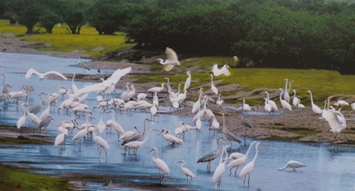 Photos featuring Vietnam’s heritage to be exhibited nationwide - 3