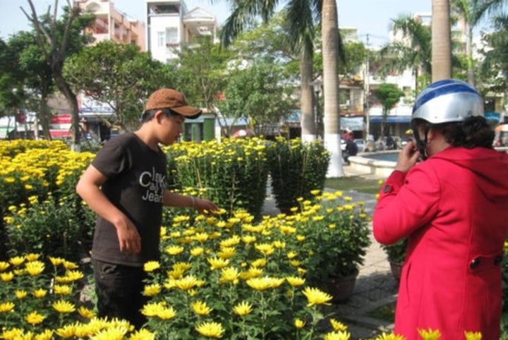 Busy Tet preparations across Vietnam - 1 Busy Tet preparations across Vietnam - 1