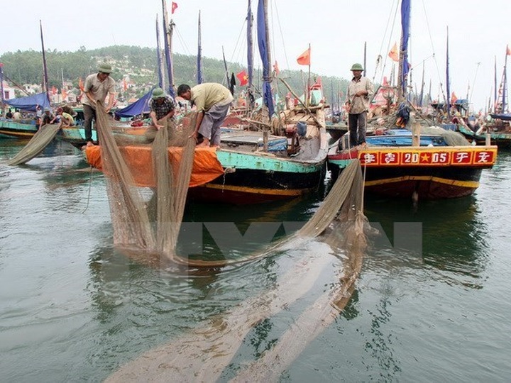 Quang Tri sets up damage assessment council after fish deaths - 1