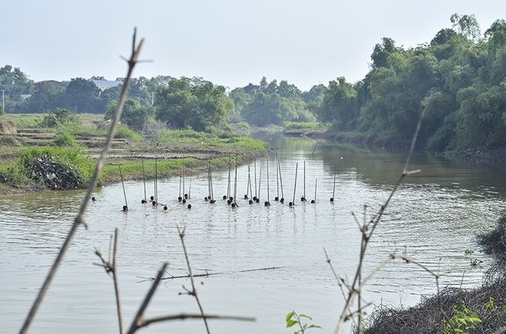 Fishing with long rackets on Hanoi's Tich River - 2