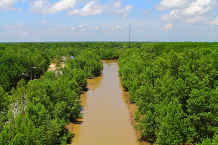 Authorities instructed to implement land use audit - 1