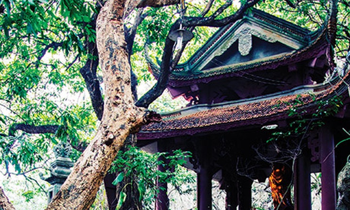 Chua Thay Pagoda - 1 Chua Thay Pagoda - 1