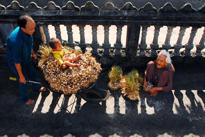 Vietnam's beauty exposed through photos - 7