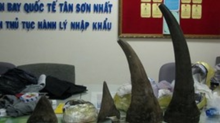 Smuggled rhino horns seized in HCM City - 1