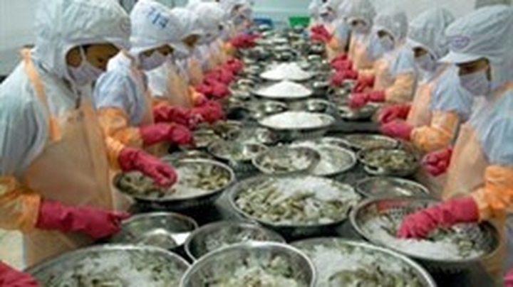 VASEP files claim against US’ anti-dumping duties on shrimp - 1