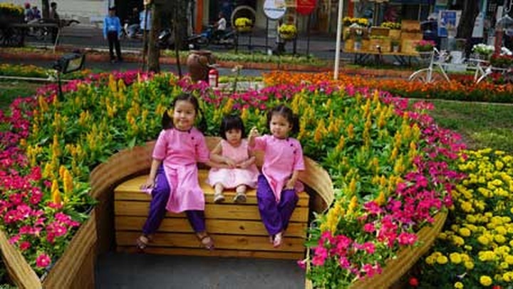 Flower Road opens in HCM City - 8