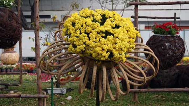 Flower Road opens in HCM City - 5