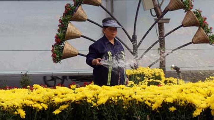 Flower Road opens in HCM City - 4