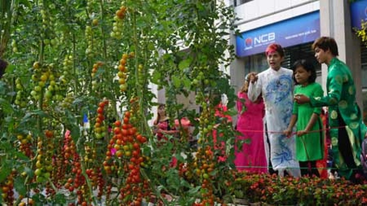 Flower Road opens in HCM City - 9