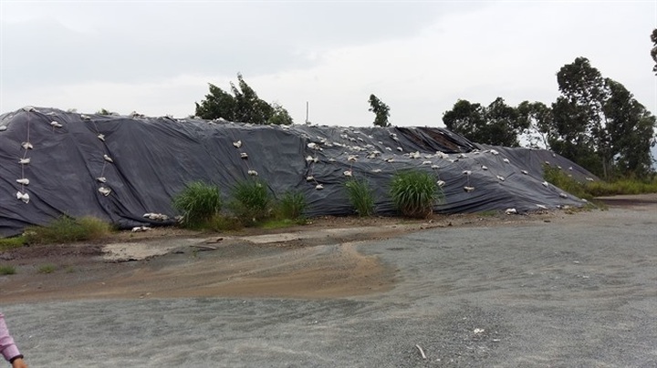 Vietnam, US start 2nd dioxin cleanup - 1