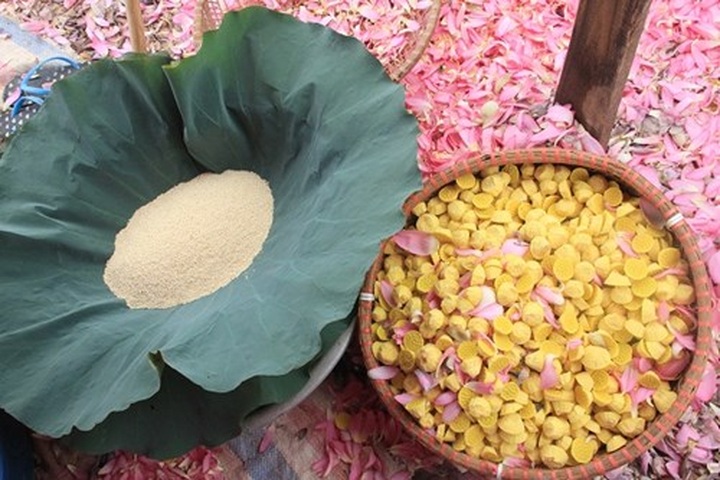 Hanoi’s lotus tea-making art - 15