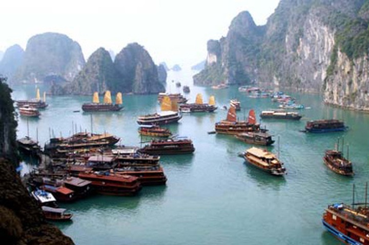 Ha Long to put a stop to unlicensed transport services - 1