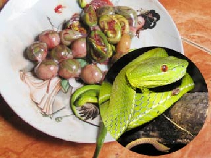 Rich tastes, strange 'delights' - 3 Rich tastes, strange 'delights' - 3