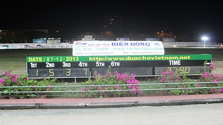 Impressive greyhound racing in Vung Tau - 12
