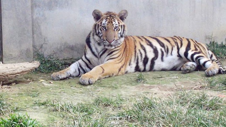 Businesses team up to protect wildlife - 1 Businesses team up to protect wildlife - 1