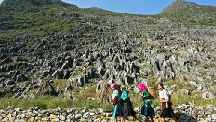 Dong Van Karst Plateau Geopark construction plan ratified - 1