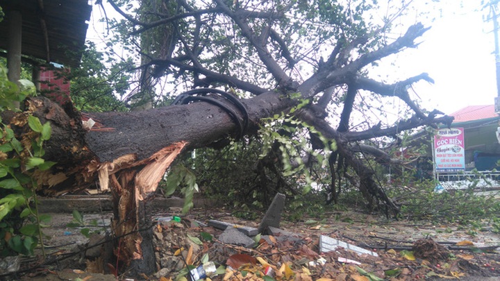 Typhoon Sonca weakens into depression, causing heavy rains - 1