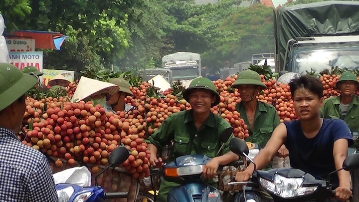 Rush for litchis causes major traffic jams - 1