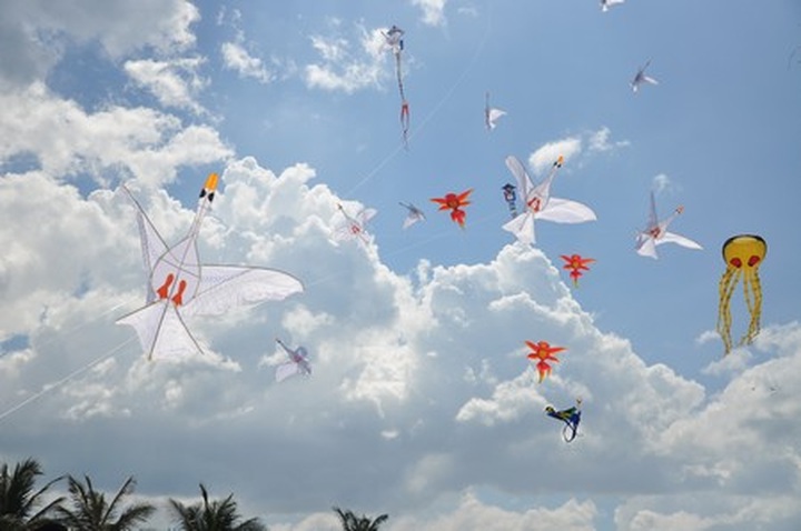 Kites add colour to Hoi An’s sky - 1 Kites add colour to Hoi An’s sky - 1