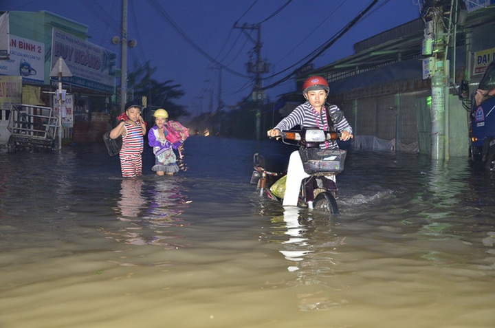 Flood tides submerge HCM City streets - 1