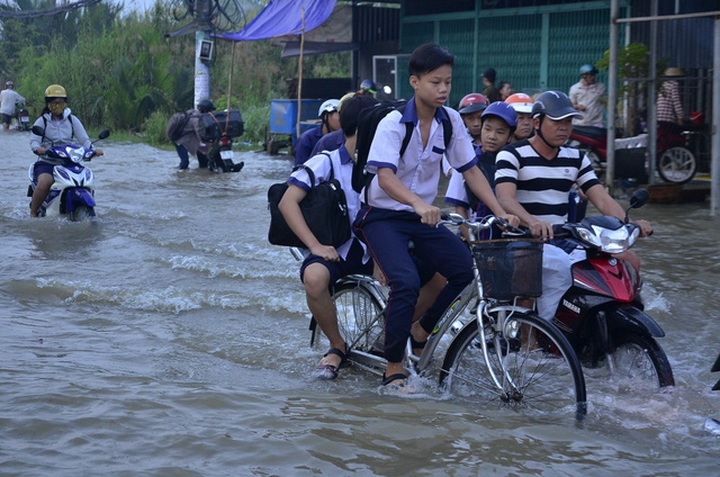Flood tides submerge HCM City streets - 5