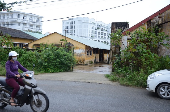 Polluting slaughter house to be moved out of Hoi An - 1 Polluting slaughter house to be moved out of Hoi An - 1