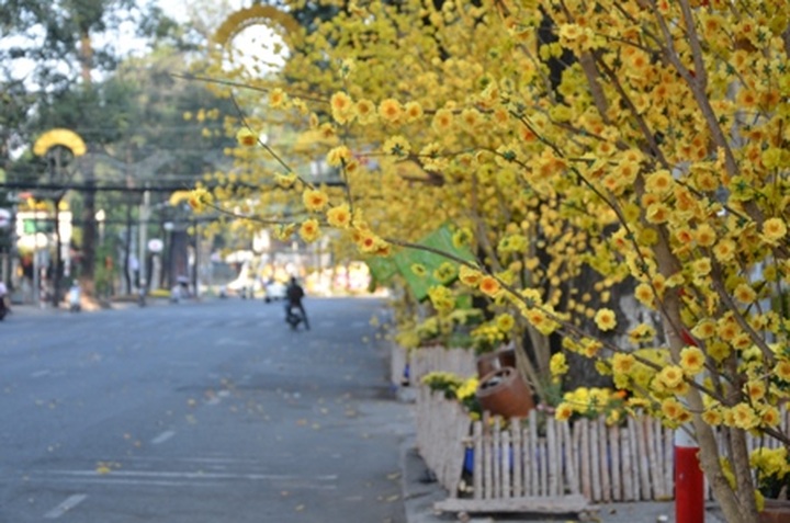 Empty streets on Tet - 12