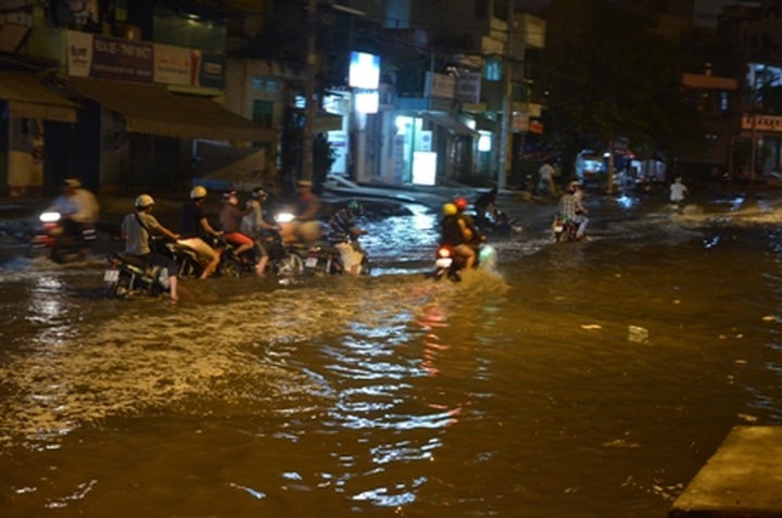 HCM City needs better disaster responses - 1