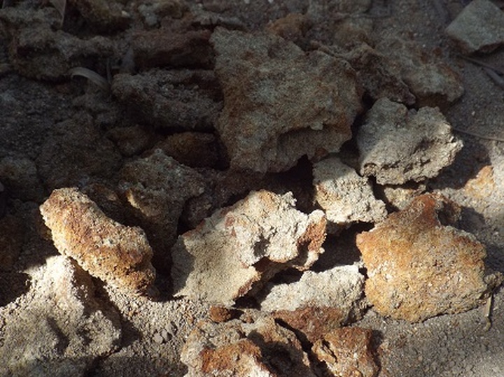 Mystery shrouds remains of 24 unearthed in Khanh Hoa mass grave - 2