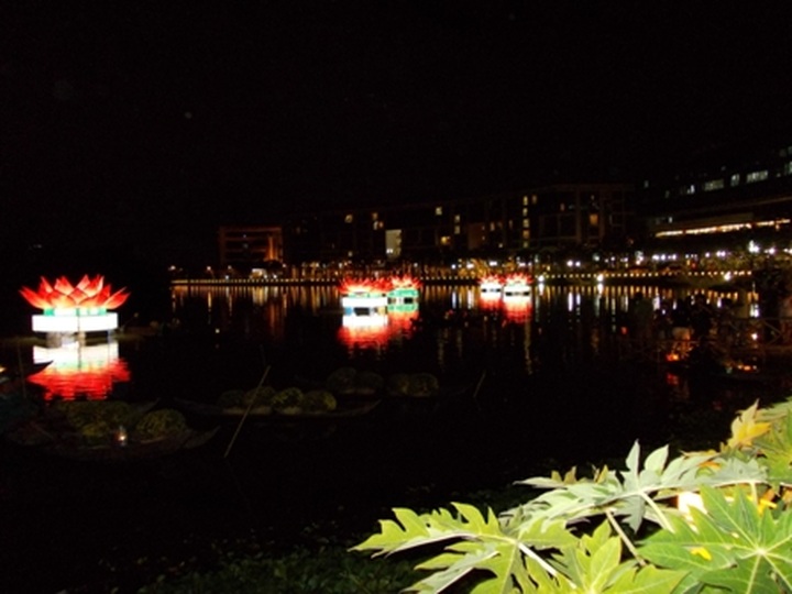 Phu My Hung spring flower show blooms - 2