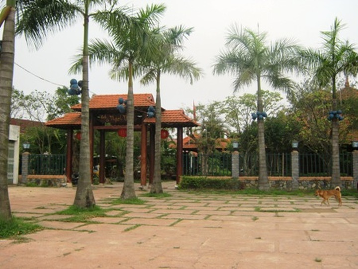 Coffee shops left deserted after provincial party secretary inspection - 1