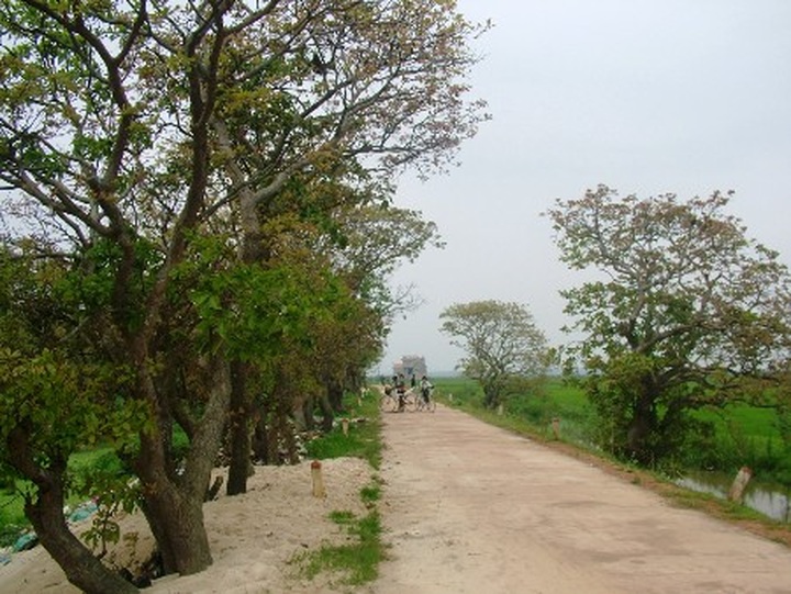 Ancient Loc Vung forest of Quang Binh - 2