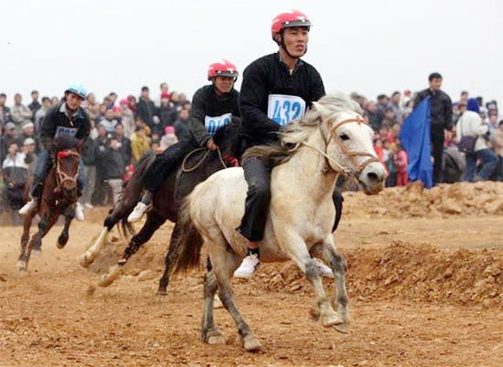 $1.5 billion horse racecourse galloping towards victory - 1