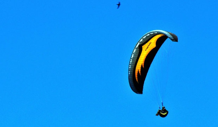Paragliders to fly from Son Tra Peninsula - 1 Paragliders to fly from Son Tra Peninsula - 1