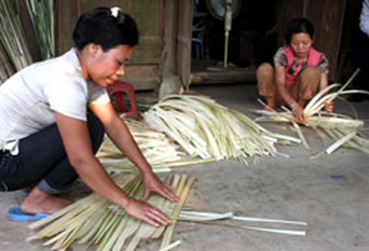 Sedge weaving trade in decline - 1