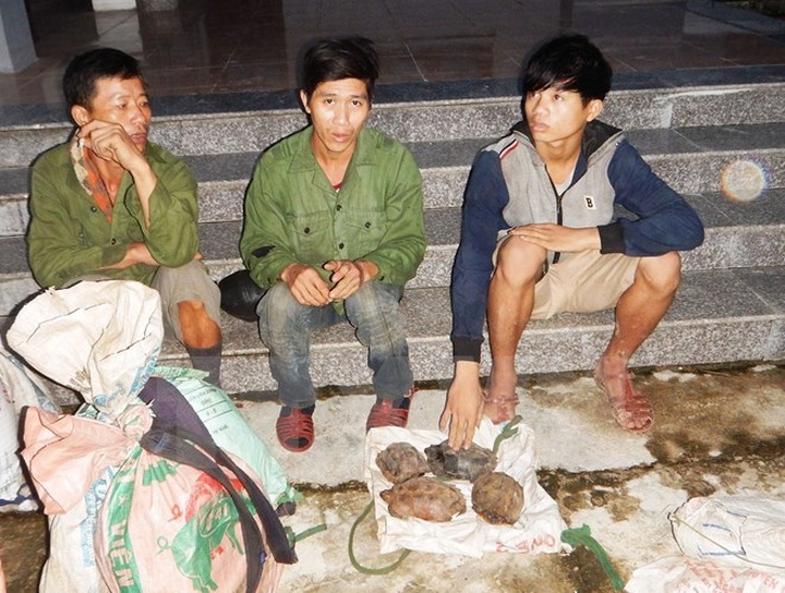 US willing to help Vietnam combat wildlife trafficking - 1 US willing to help Vietnam combat wildlife trafficking - 1