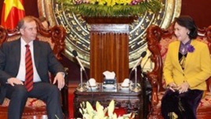 Vietnam, Russia prioritise energy cooperation - 1