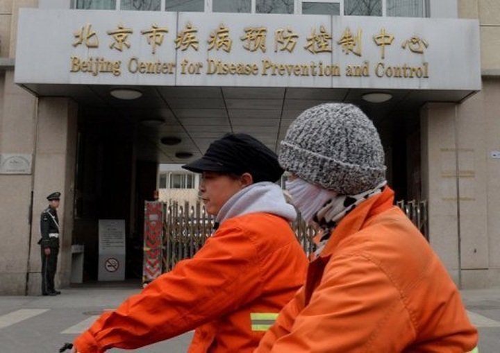 China bird flu not spreading between people: WHO - 1